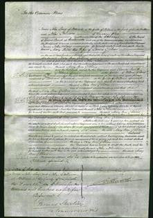 Court of Common Pleas - Mary Ann Gibbons-Original Ancestry