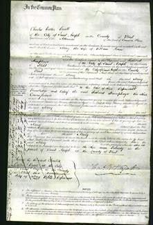 Court of Common Pleas - Mary Pierce-Original Ancestry