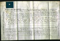 Deed by Married Women - Jane Ann Pearson-Original Ancestry