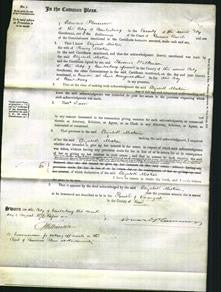 Court of Common Pleas - Elizabeth Miskin-Original Ancestry