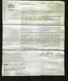 Court of Common Pleas - Ann Carr Boyer-Original Ancestry