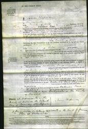 Court of Common Pleas - Frederica Jane Sheppard-Original Ancestry