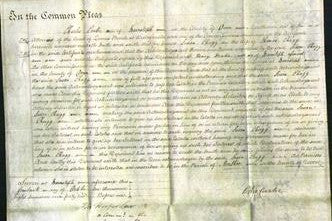 Court of Common Pleas - Susan Chugg-Original Ancestry