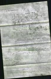 Court of Common Pleas - Celina Flower-Original Ancestry