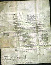 Court of Common Pleas - Jane May-Original Ancestry