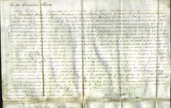 Court of Common Pleas - Charlotte Tomkins-Original Ancestry