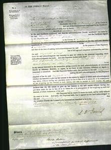 Court of Common Pleas - Elizabeth Neal-Original Ancestry