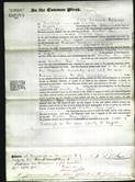 Court of Common Pleas - Martha Ann Cooper-Original Ancestry
