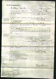 Court of Common Pleas - Catherine Richardson-Original Ancestry