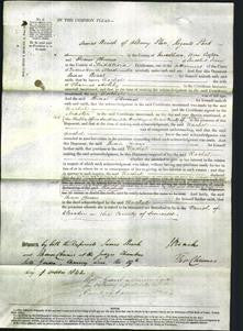 Court of Comon Pleas - Rachel Ashby-Original Ancestry