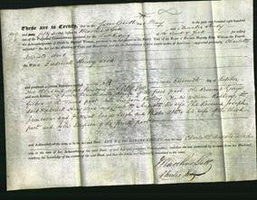 Deed by Married Women - Charlotte Augusta Wood-Original Ancestry