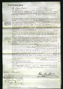 Court of Common Pleas - Sarah Lincoln-Original Ancestry