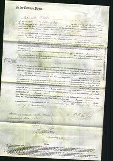 Court of Common Pleas - Ann Pope-Original Ancestry