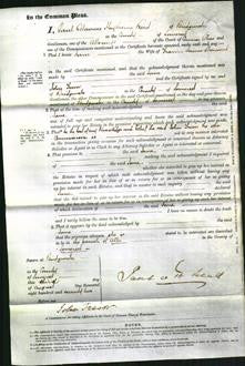 Court of Common Pleas - Jane Sherwood-Original Ancestry