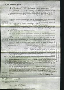 Court of Common Pleas - Elizabeth Stokes-Original Ancestry