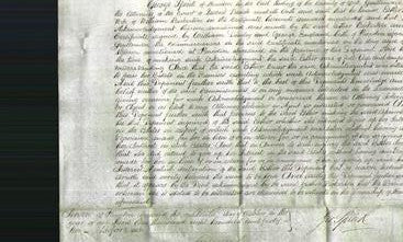 Court of Common Pleas - Esther Bickerton-Original Ancestry