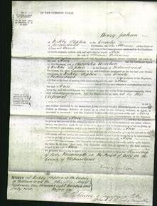 Court of Common Pleas - Ann Robinson-Original Ancestry