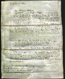 Court of Common Pleas - Elizabeth Butler, Elizabeth Parker and Ann Taylor-Original Ancestry