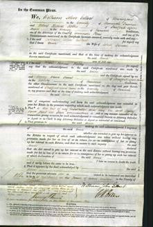 Court of Common Pleas - Ann Spencer-Original Ancestry