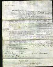 Court of Common Pleas - Ann Taylor-Original Ancestry