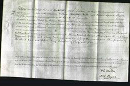 Deed by Married Women - Mary Catharine Anne Greaves-Original Ancestry