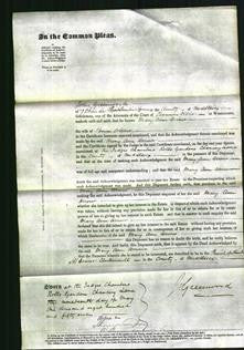 Court of Common Pleas - Mary Ann Arrow-Original Ancestry