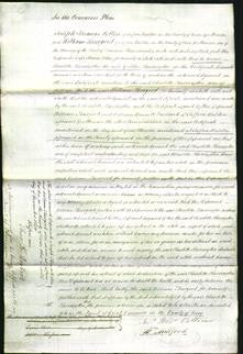 Court of Common Pleas - Charlotte Harrington-Original Ancestry