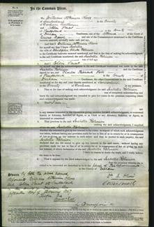 Court of Common Pleas - Isabella Robinson-Original Ancestry