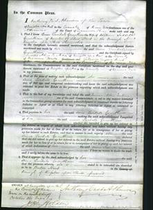 Court of Common Pleas - Anne Twidale Grantham-Original Ancestry