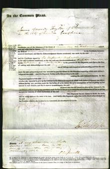 Court of Common Pleas - Mary Mott-Original Ancestry