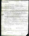 Court of Common Pleas - Ellen Buck-Original Ancestry