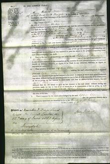 Court of Common Pleas - Sophia Eliza Hacker-Original Ancestry