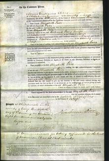 Court of Common Pleas - Elizabeth Price-Original Ancestry