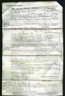 Court of Common Pleas - Susannah Carew Shanks-Original Ancestry