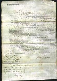 Court of Common Pleas - Elizabeth Tyler-Original Ancestry