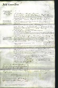 Court of Common Pleas - Louisa Bryant-Original Ancestry