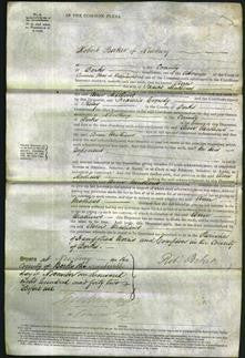 Court of Common Pleas - Ann Mathews-Original Ancestry