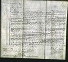 Court of Common Pleas - Sarah Shepherd-Original Ancestry