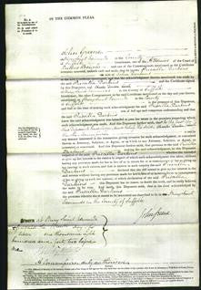 Court of Common Pleas - Priscilla Darkins-Original Ancestry