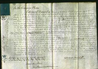 Court of Common Pleas - Leonora Saunders-Original Ancestry