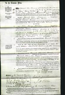 Court of Common Pleas - Hannah Clementia Farmer-Original Ancestry
