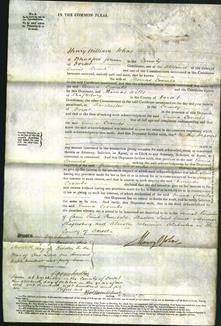 Court of Common Pleas - Emma Coombs-Original Ancestry