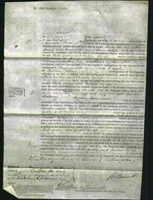 Court of Common Pleas - Ruth Gosling and Caroline Ayliffe-Original Ancestry