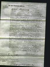 Court of Common Pleas - Sarah Watkinson-Original Ancestry