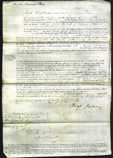 Court of Common Pleas - Mary Agnes O'Byrne-Original Ancestry