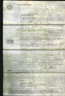 Court of Common Pleas - Emma Coombs-Original Ancestry