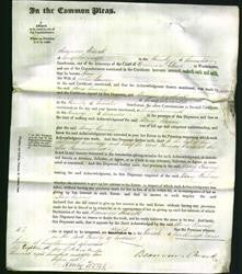 Court of Common Pleas - Mary Canery-Original Ancestry