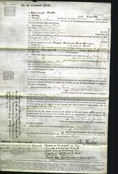 Court of Common Pleas - Mary Hunt and Maria Coleman Jenner-Original Ancestry