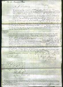 Court of Common Pleas - Mary Agnes O'Byrne-Original Ancestry