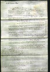 Court of Common Pleas - Mary Bayly-Original Ancestry